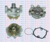 AQUAPLUS 85-7080 Water Pump